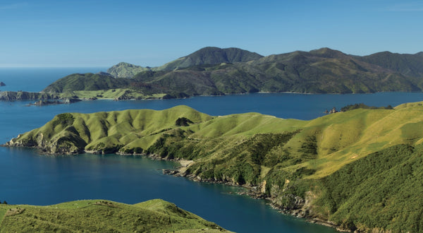Image Landscape