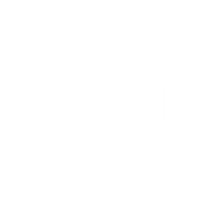 Sprint Coach Project